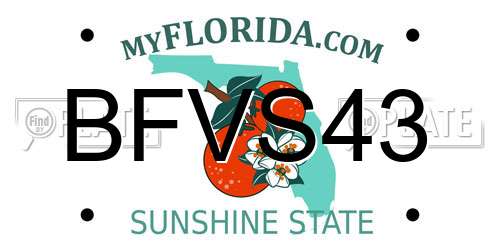 BFVS43 Florida License Plate