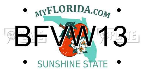 BFVW13 Florida License Plate