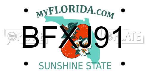 BFXJ91 Florida License Plate