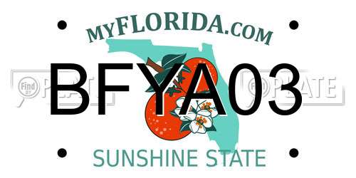 BFYA03 Florida License Plate