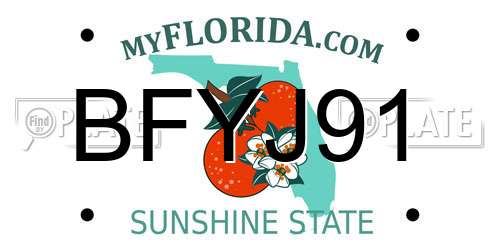 BFYJ91 Florida License Plate