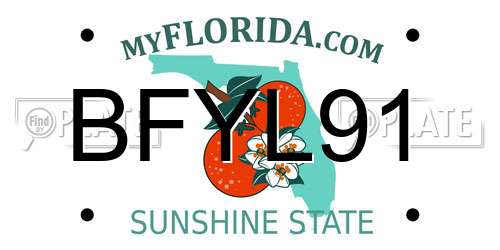 BFYL91 Florida License Plate