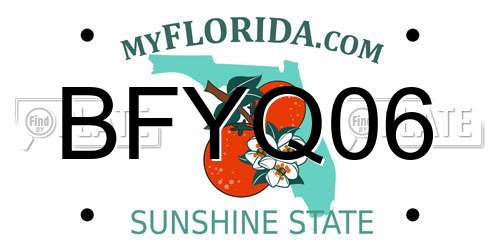 BFYQ06 Florida License Plate
