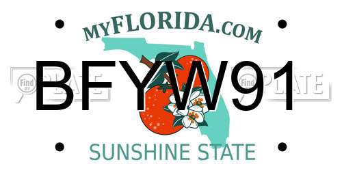 BFYW91 Florida License Plate