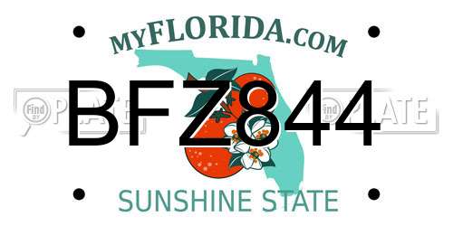 BFZ844 Florida License Plate