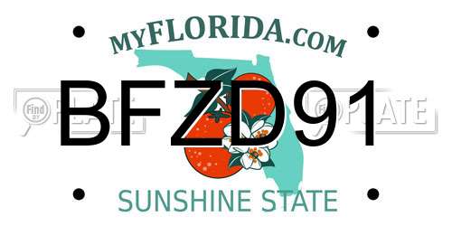 BFZD91 Florida License Plate