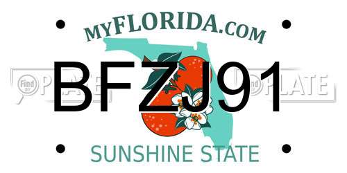 BFZJ91 Florida License Plate
