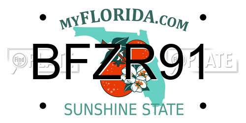 BFZR91 Florida License Plate