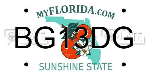 BG13DG Florida License Plate
