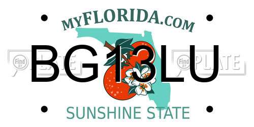 BG13LU Florida License Plate