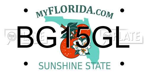 BG15GL Florida License Plate