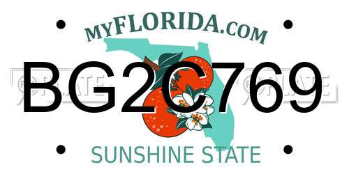 BG2C769 Florida License Plate