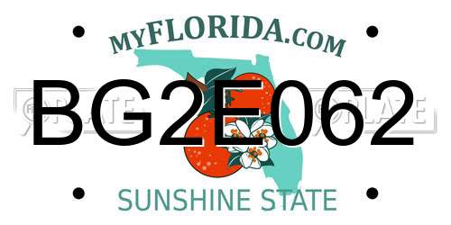 BG2E062 Florida License Plate