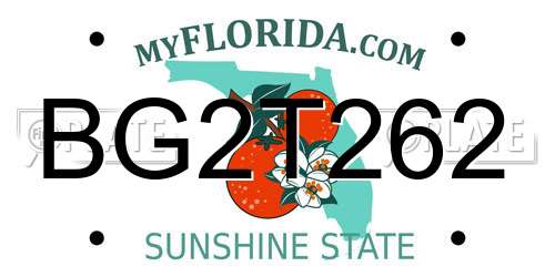 BG2T262 Florida License Plate