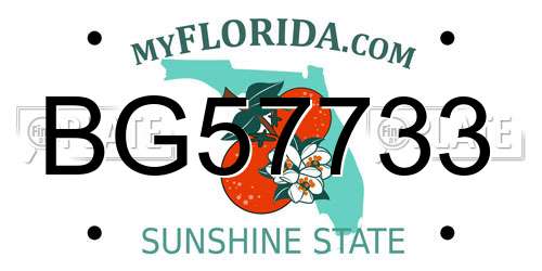 BG57733 Florida License Plate