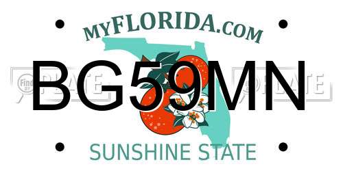 BG59MN Florida License Plate