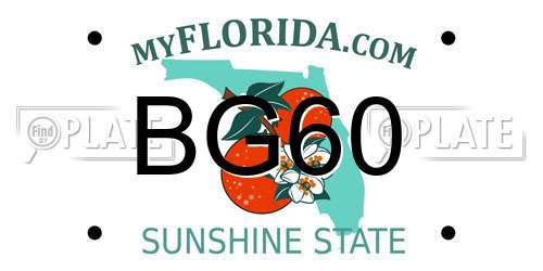 BG60 Florida License Plate