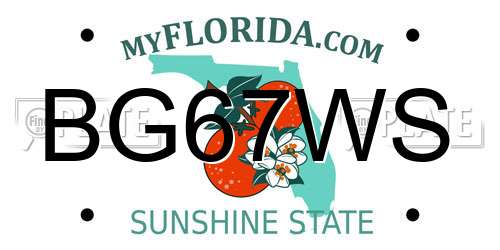 BG67WS Florida License Plate