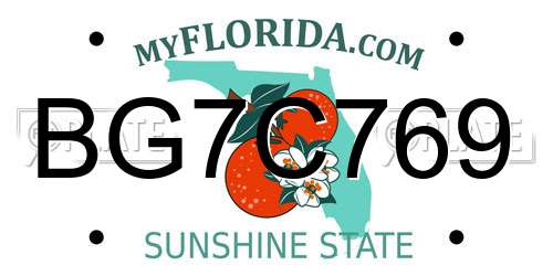 BG7C769 Florida License Plate