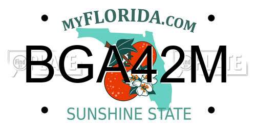 BGA42M Florida License Plate