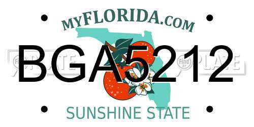 BGA5212 Florida License Plate