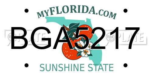 BGA5217 Florida License Plate
