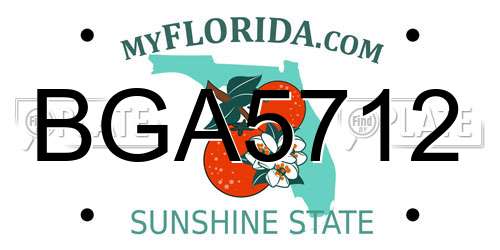 BGA5712 Florida License Plate