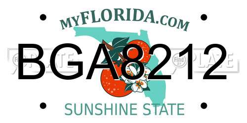 BGA8212 Florida License Plate