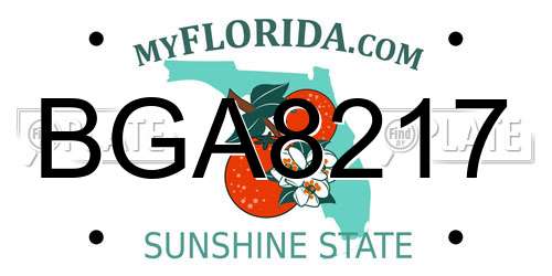 BGA8217 Florida License Plate