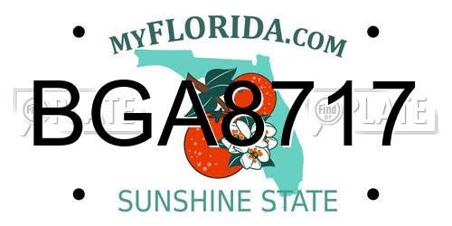 BGA8717 Florida License Plate