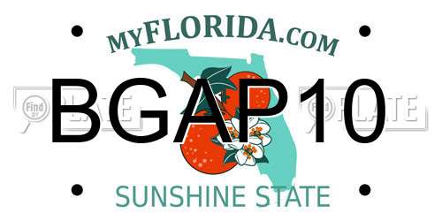 BGAP10 Florida License Plate
