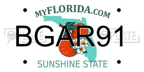 BGAR91 Florida License Plate
