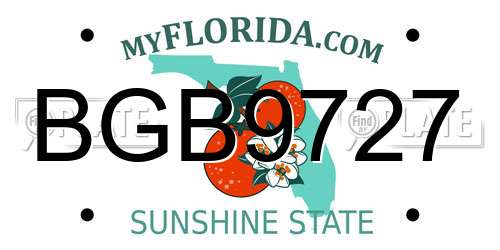 BGB9727 Florida License Plate