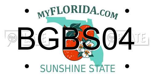 BGBS04 Florida License Plate