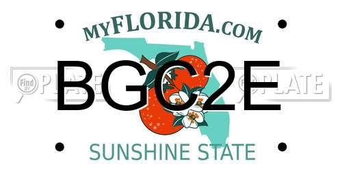 BGC2E Florida License Plate