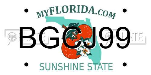 BGCJ99 Florida License Plate