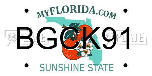 BGCK91 Florida License Plate