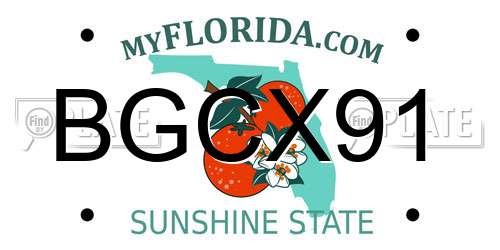 BGCX91 Florida License Plate