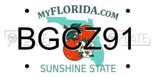 BGCZ91 Florida License Plate