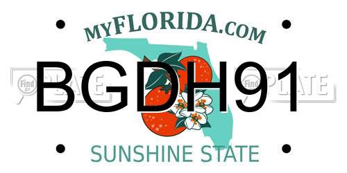 BGDH91 Florida License Plate