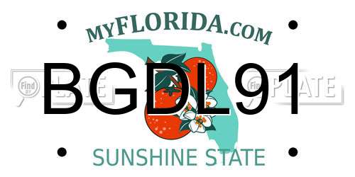 BGDL91 Florida License Plate