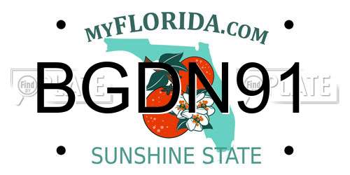 BGDN91 Florida License Plate
