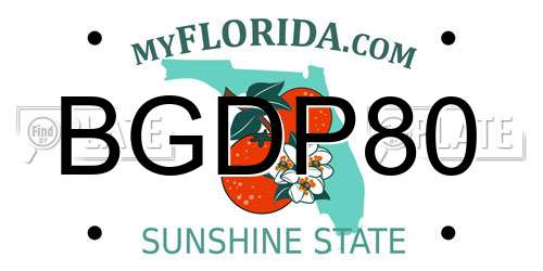 BGDP80 Florida License Plate