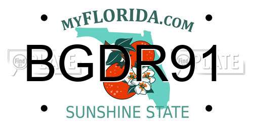 BGDR91 Florida License Plate