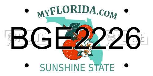 BGE2226 Florida License Plate
