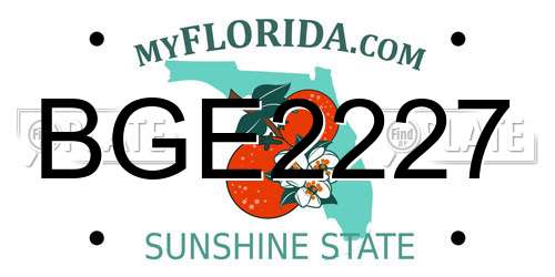 BGE2227 Florida License Plate