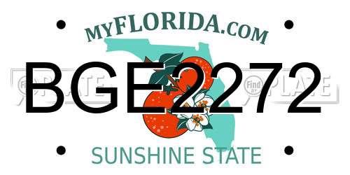 BGE2272 Florida License Plate