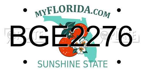 BGE2276 Florida License Plate