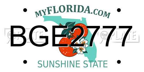 BGE2777 Florida License Plate