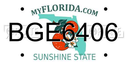 BGE6406 Florida License Plate